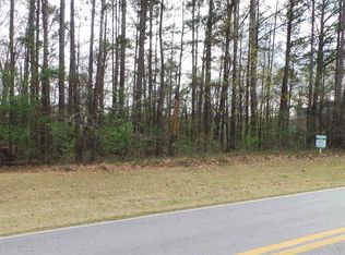 0 Cotton Indian Creek Rd LOT 1.9, McDonough, GA 30252