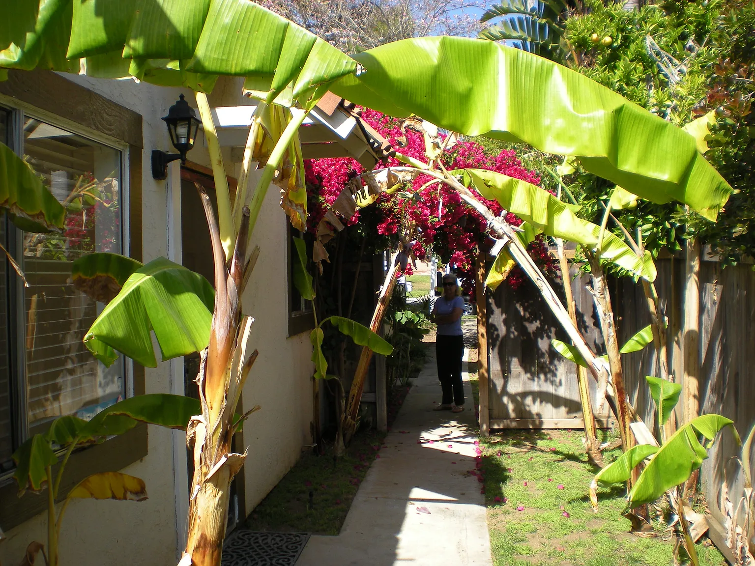 2 bed, 1000 sqft, $3,495 — Photo 2