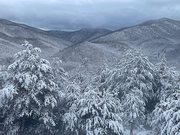 5th image of 575 Dumpling Run Rd