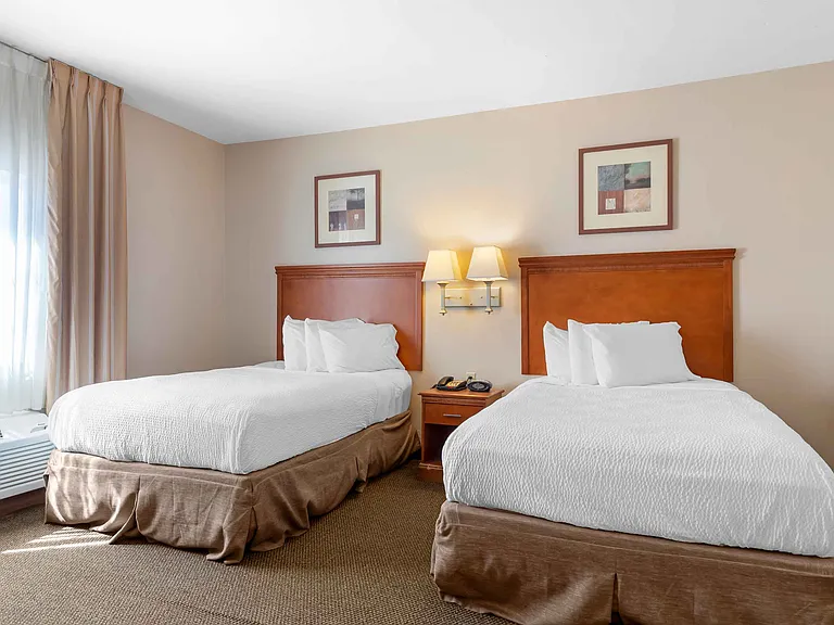 Studio Suite - 2 Full Beds