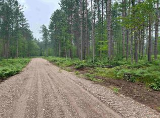 PARCEL 1 Paint River Rd, Crystal Falls, MI 49920