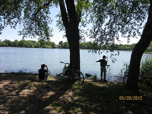 Rented by Space Real Estate | media 14