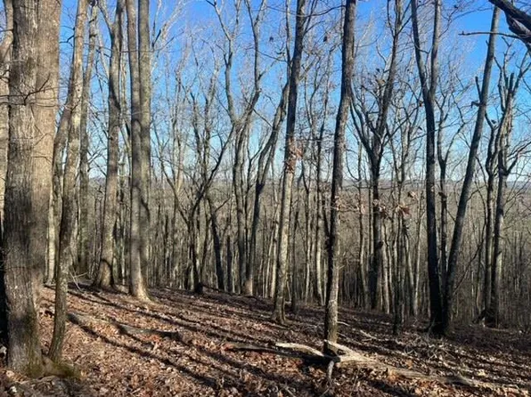 00LOT3 Mountain Ridge Dr, Waverly Hall, GA 31831