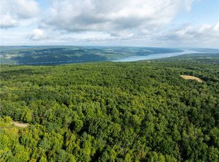 8203 Van Amburg Rd #19, Hammondsport, NY 14840