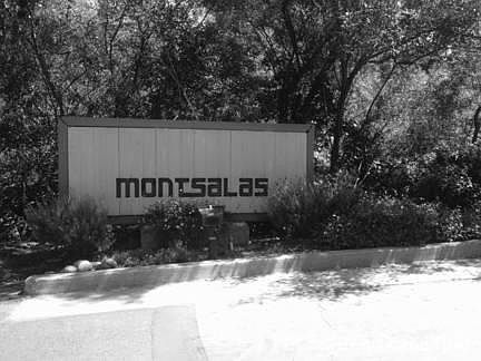 2nd image of 44 Montsalas Dr #44