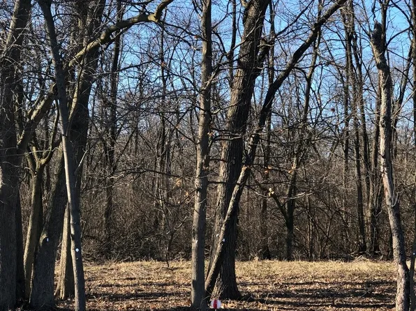 12934 W Hadley Rd #4, Homer Glen, IL 60491