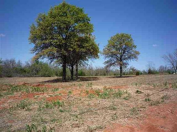 5th image of Bryan 7 Acres Lot 1