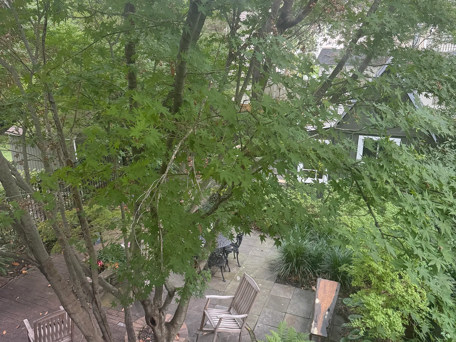 1 bed, 675 sqft, $1,950 — Photo 2