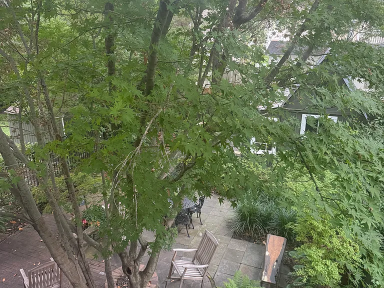 64 Bull St — Photo 2