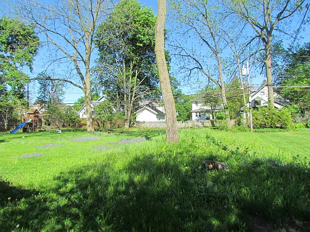 HUGE backyard !