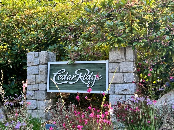 28980 White Dove Ln, Lake Arrowhead, CA 92352