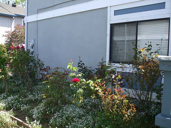 2nd image of 1725 Westhaven Ct Unit I