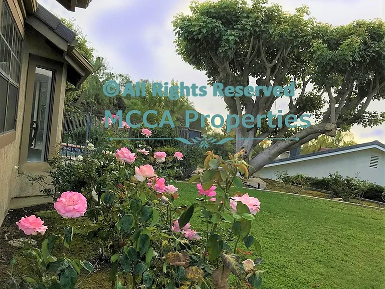 766 Calle Vallarta — Photo 15