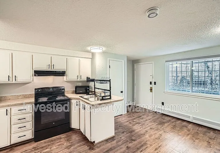 1140 N Downing St #102 — Photo 6