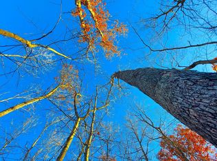 Orange Springs Rd, Spotsylvania, VA 22551