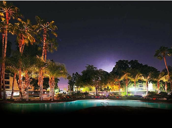 Pool at Night