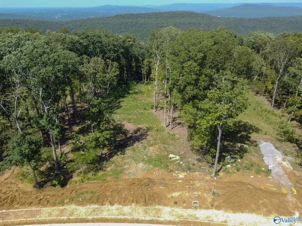 68 Watson Grande Way, Owens Cross Roads, AL 35763