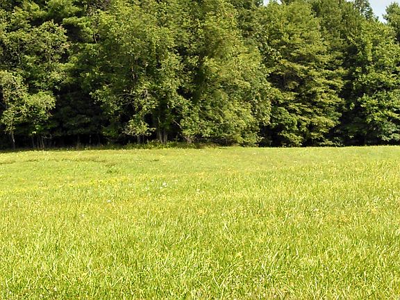 Pastureland.