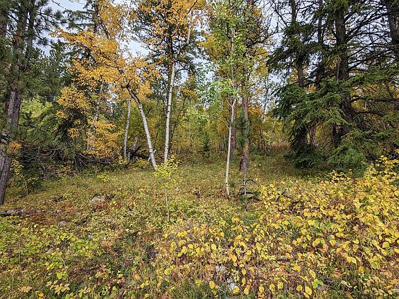 3rd image of Prodigal Son Ld Terry Summit Rd