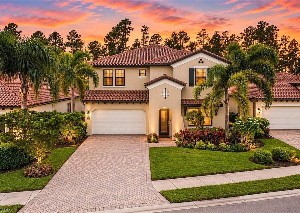 1st image of 4391 Raffia Palm CIR