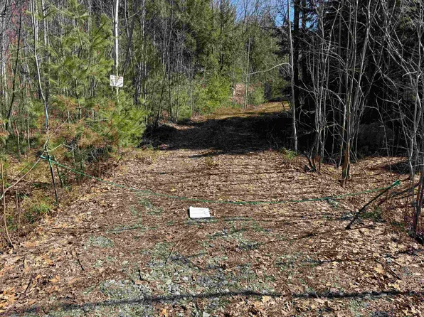 Lot 44 Bog Road, Hillsborough, NH 03244