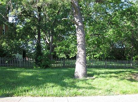 What a side yard view!