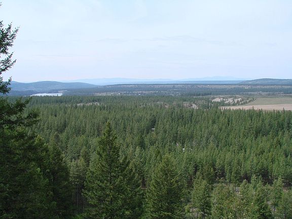 View from top of property