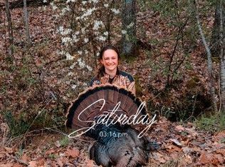 5560 Divider And Natchez Trace Rd, Camden, TN 38320