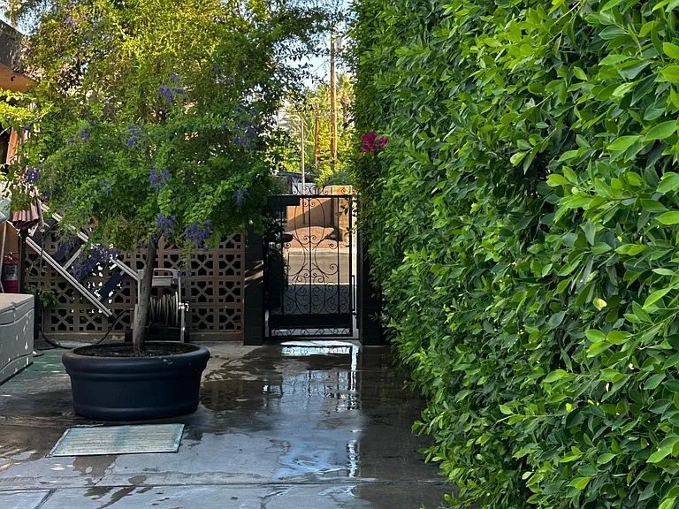 432 Avenida Ortega — Photo 15