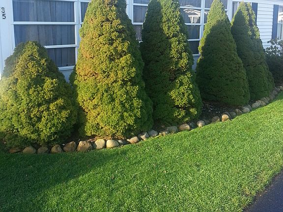 3rd image of 35 Wilpark Dr