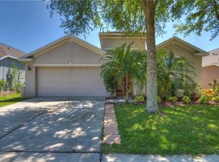 1171 Emerald Hill Way, Valrico, FL 33594