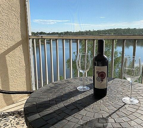 2nd image of 14340 Bristol Bay Pl APT 405