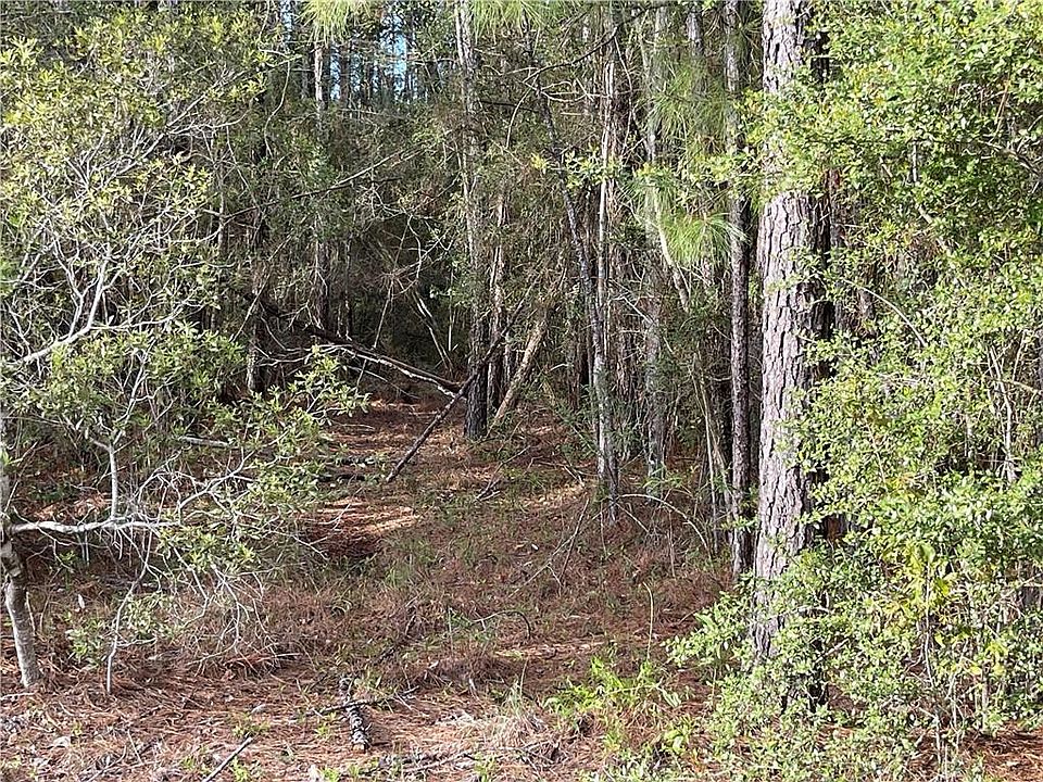 1st image of Bob Levy Rd