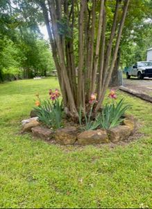 307 E Bois D Arc St, Leonard, TX, 75452