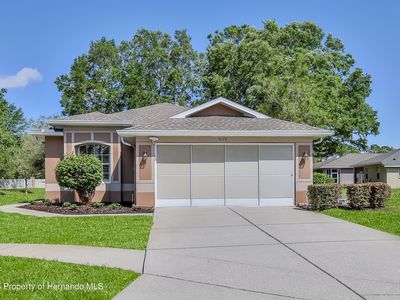 4179 Silver Fox Dr, Spring Hill, FL, 34609
