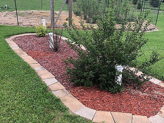 Backyard landscaping 