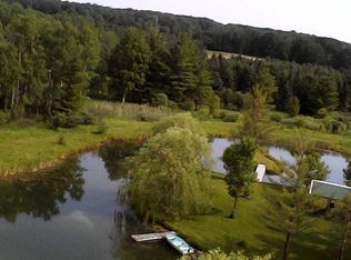 8848 E Washington Rd, Branch, MI 49402