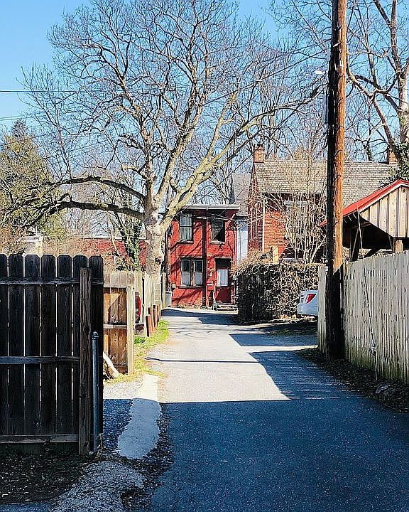 A shady lane off of Plum St.