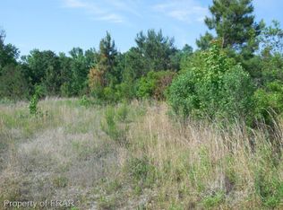 104 Character Ct, Bunnlevel, NC 28323