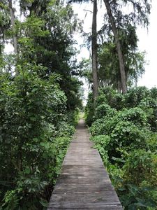 192 COMMERICAL AVENUE LOT 5, East Palatka, FL, 32131