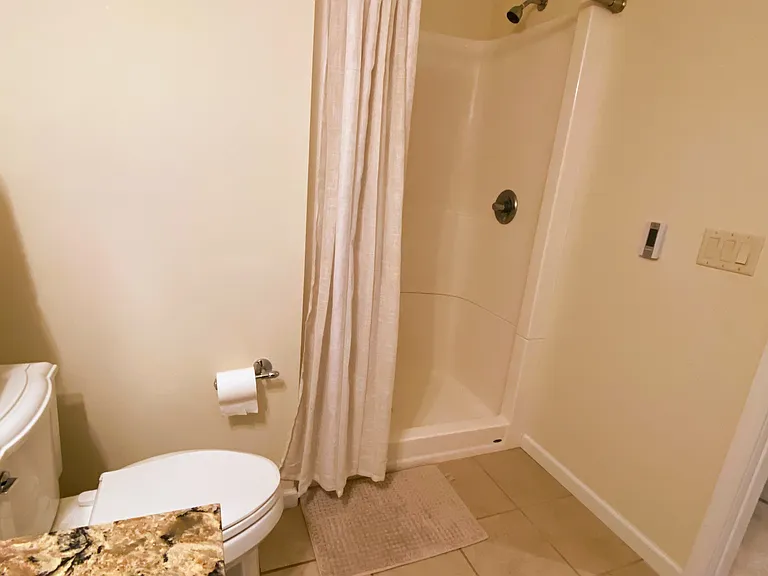 Lower level full bathroom