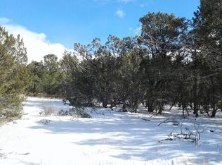 10 William Bonney Rd, Edgewood, NM 87015