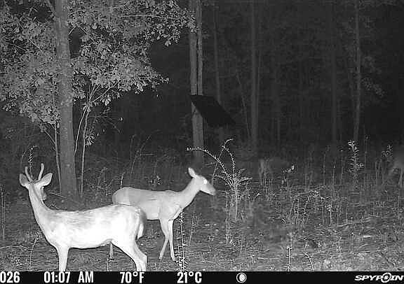 4th image of Xx Goose Platter Rd