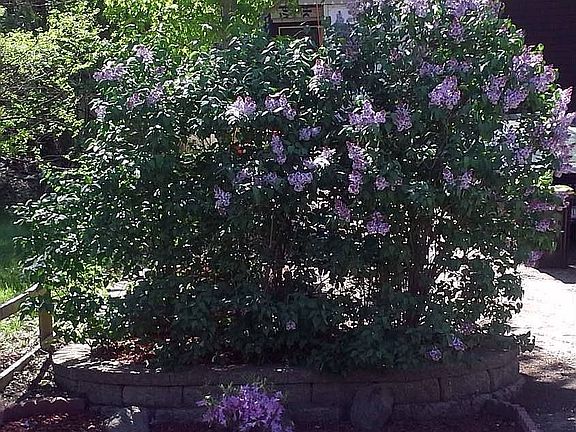 Street View - Left Side