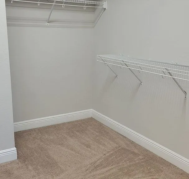 5534 Spanish Moss Cv — Photo 15