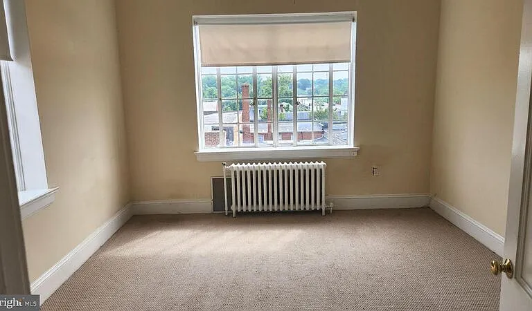 1009 Princess Anne St #1 — Photo 9