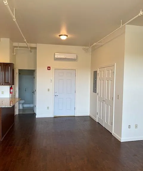 Living room facing entry, closet to right. Central HVAC unit above entry door.