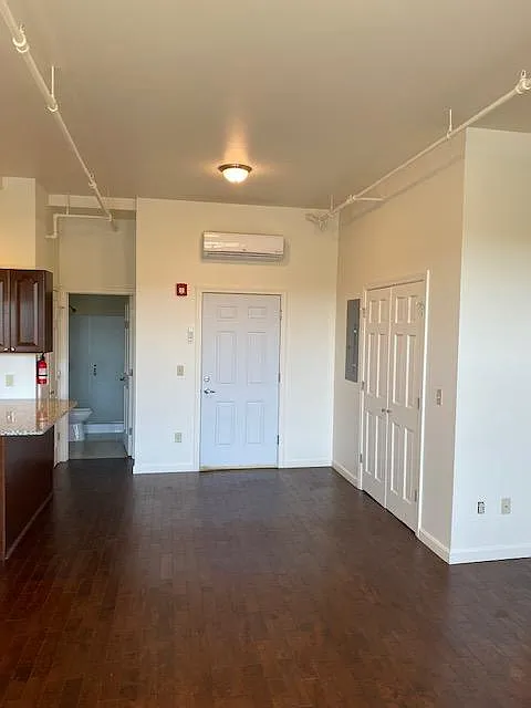 Living room facing entry, closet to right. Central HVAC unit above entry door.