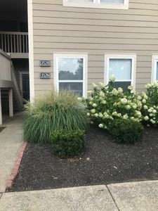 3526 Fishinger Mill Dr, Hilliard, OH, 43026