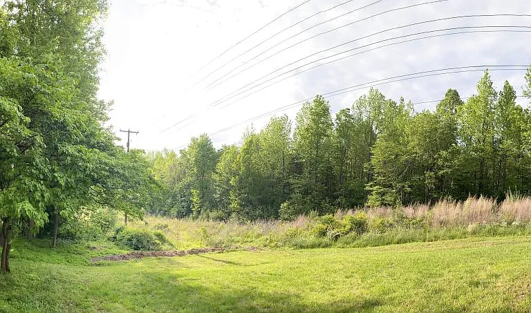 3613 Calyx Ct — Photo 38